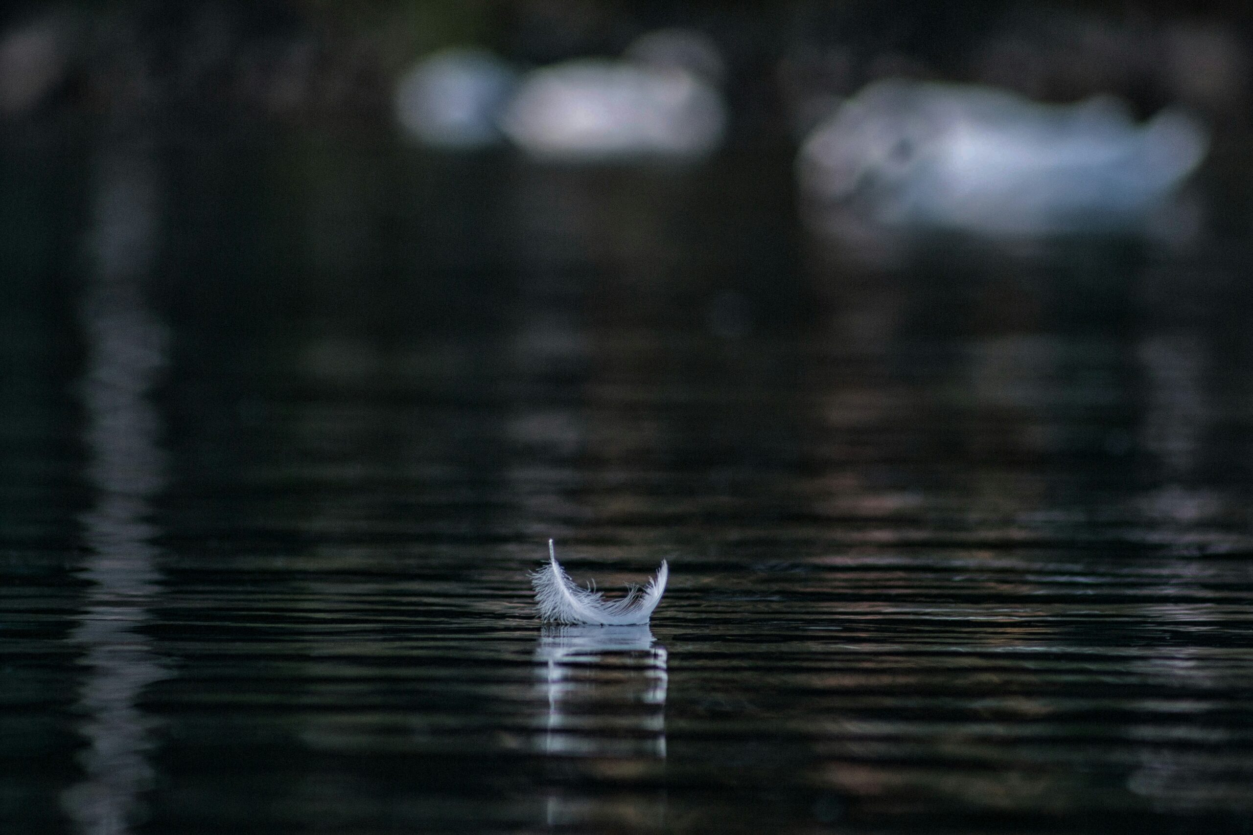 group therapy for emotional disconnection, feather on a pond