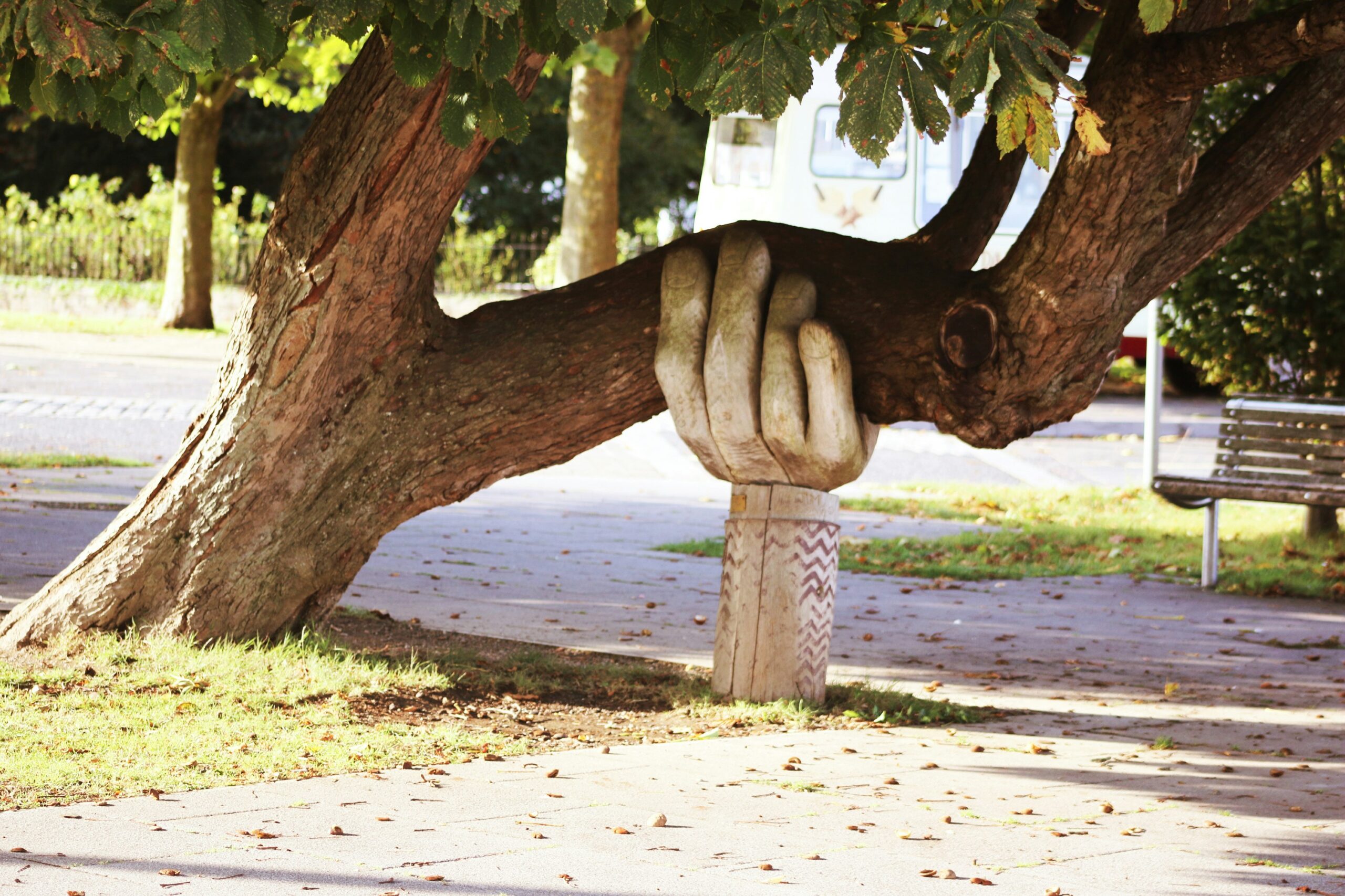 Interpersonal Process Group Therapy: Support vs. Healing